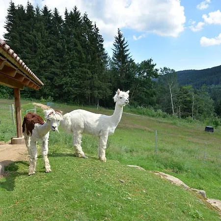 Unterrehberg Apartamento Drachselsried